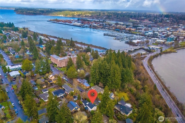 bird's eye view with a water view