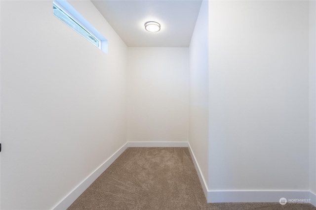 walk in closet with carpet floors