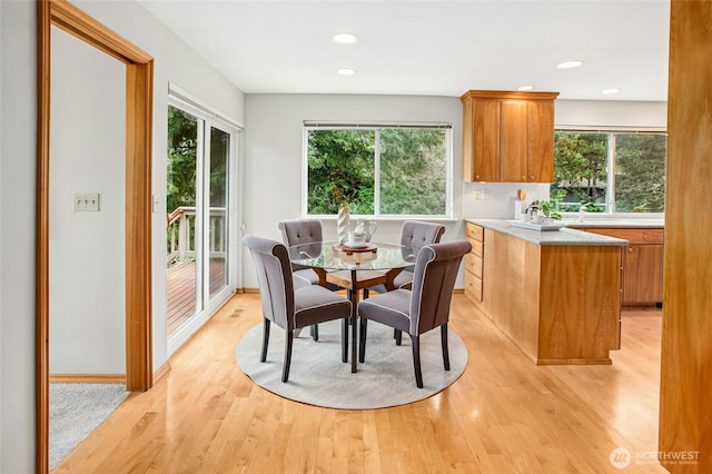 dining area with light wood-style floors and a healthy amount of sunlight