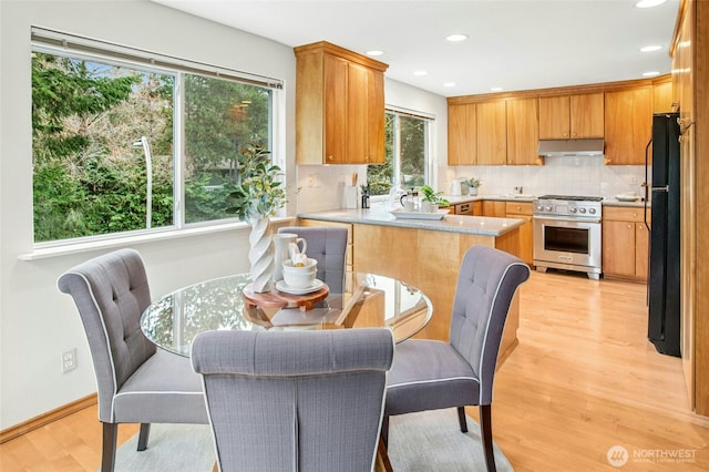 kitchen with stainless steel range, under cabinet range hood, backsplash, freestanding refrigerator, and light wood-style floors