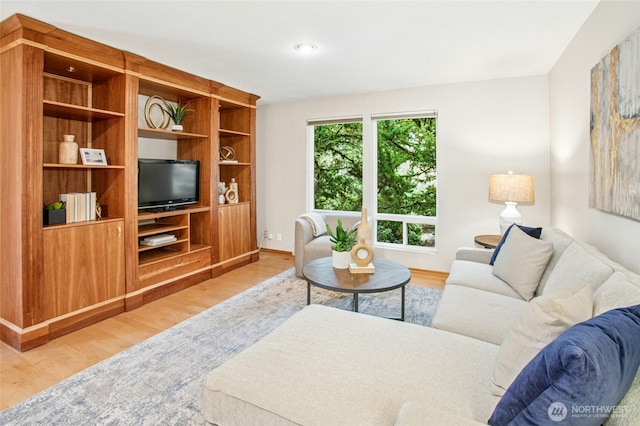 living room featuring baseboards and light wood-style floors