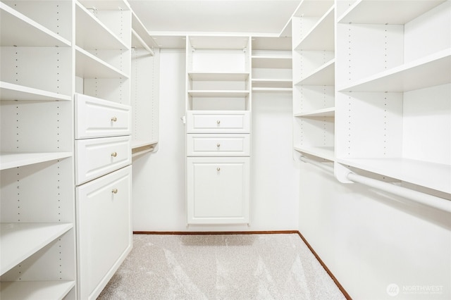 spacious closet featuring light colored carpet