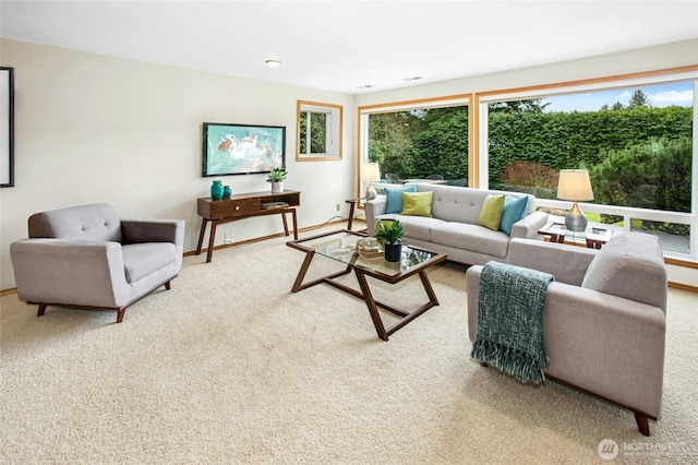 living area featuring baseboards, plenty of natural light, and carpet flooring