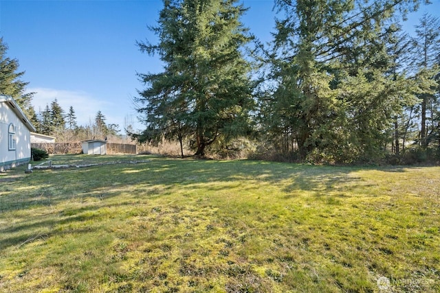 view of yard with a storage unit