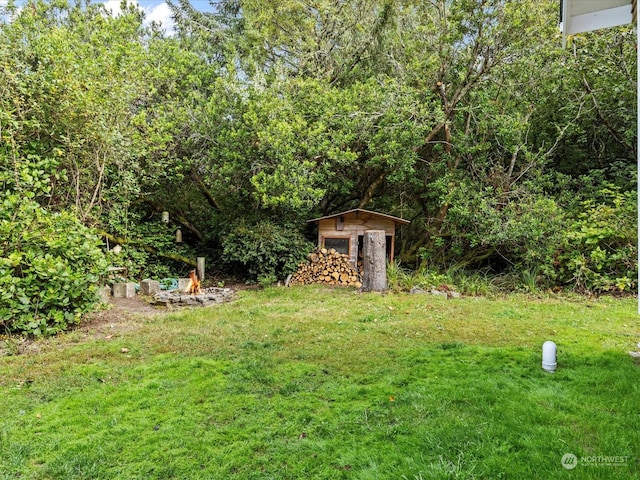 view of yard with a shed