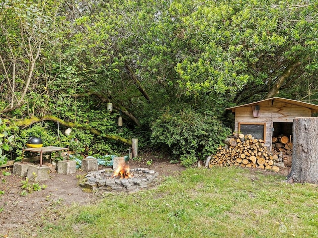 view of yard featuring a storage shed and a fire pit