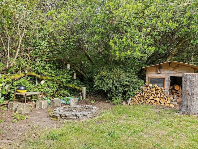 view of yard featuring a storage unit