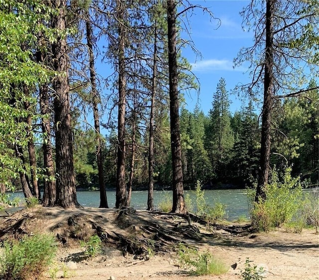 view of water feature