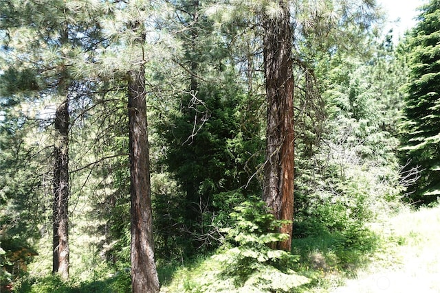 25813 Bridle Ln, Leavenworth, WA 98826 - view of wooded area