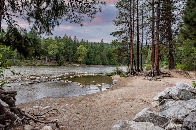 25813 Bridle Ln, Leavenworth, WA 98826 - water view featuring a forest