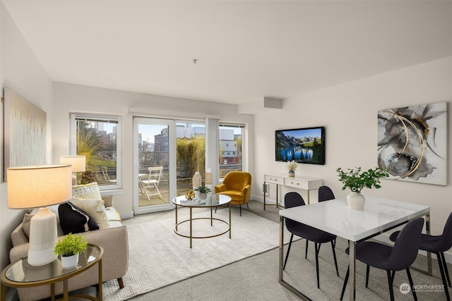 dining area with carpet flooring