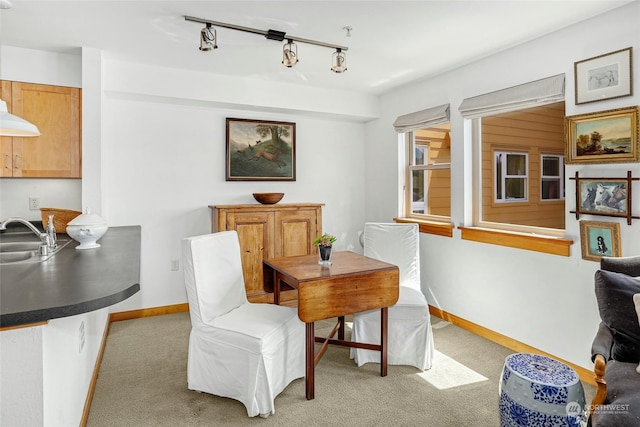 dining space featuring baseboards, track lighting, and light colored carpet