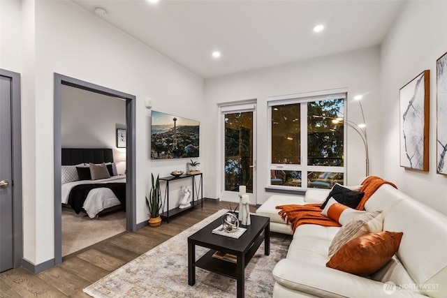 living room featuring dark wood-type flooring