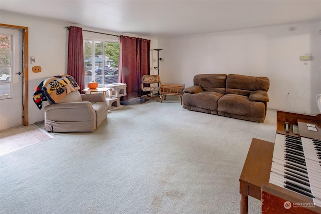 living room with carpet floors