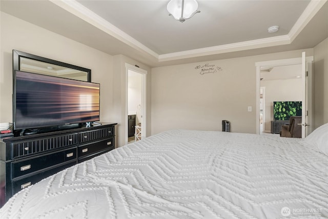 bedroom with a tray ceiling