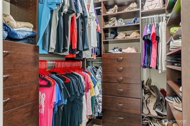 view of spacious closet