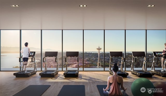 gym with a wall of windows and wood-type flooring