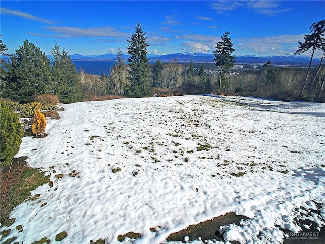 0 Cambell Dr, Camano Island, WA 98282