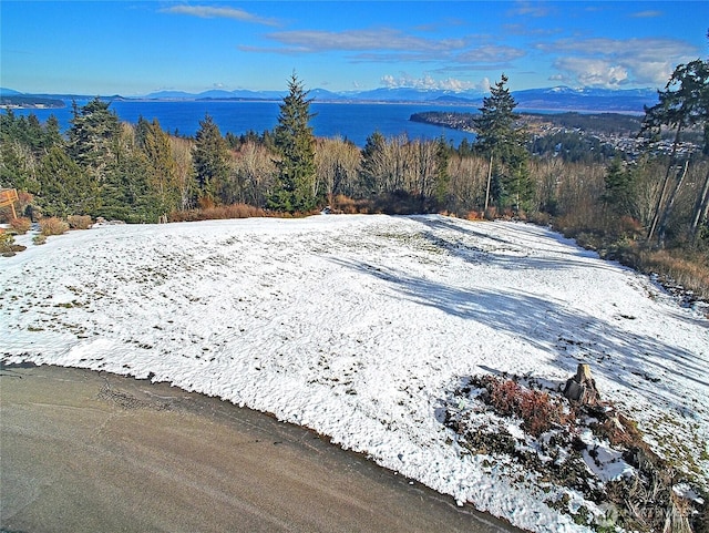 0 Cambell Dr, Camano Island WA, 98282 land for sale