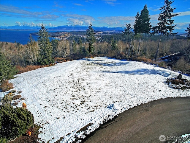 Listing photo 2 for 0 Cambell Dr, Camano Island WA 98282