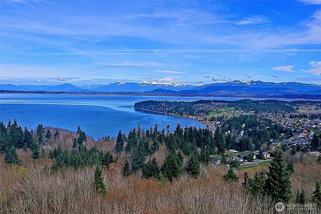 0 Cambell Dr, Camano Island, WA 98282