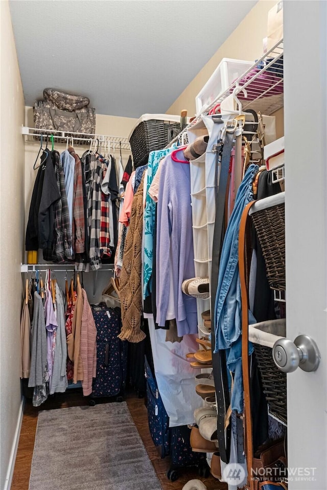 spacious closet featuring wood finished floors