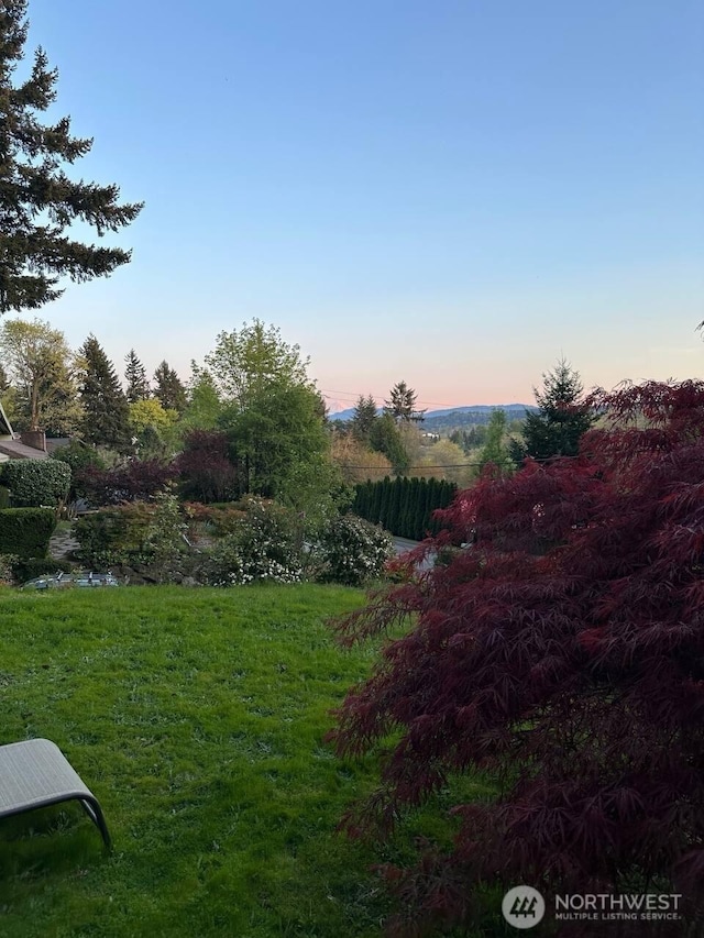 view of yard at dusk