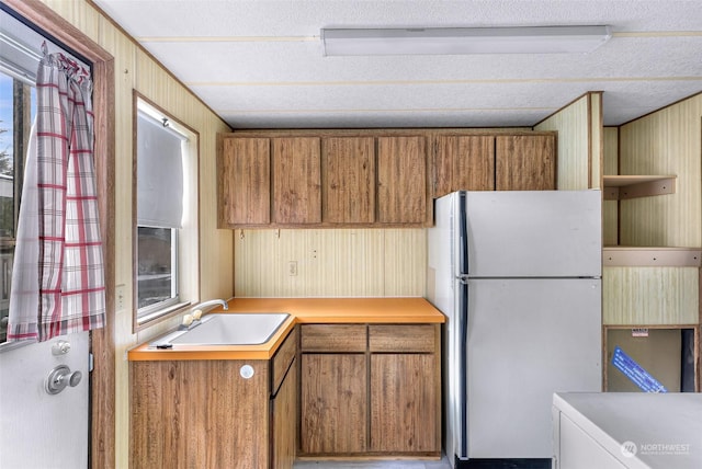 kitchen featuring plenty of natural light, sink, wooden walls, and refrigerator