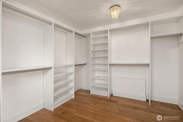 spacious closet with hardwood / wood-style flooring