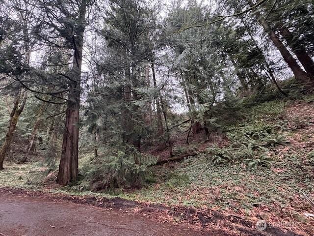 0 207th Pl NE, Sammamish WA, 98074 land for sale