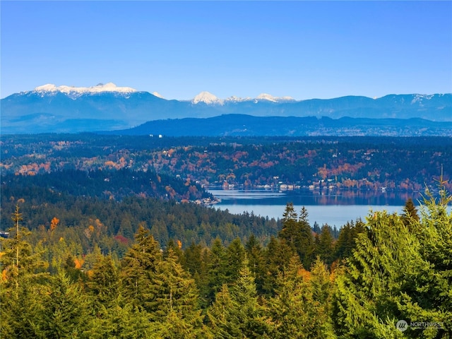 property view of mountains featuring a water view