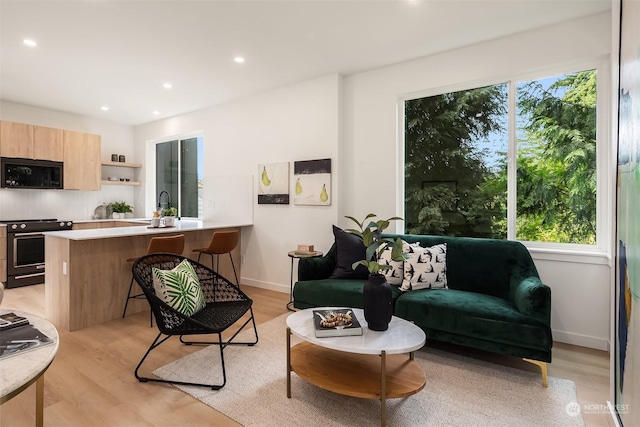 living room featuring sink and light hardwood / wood-style flooring