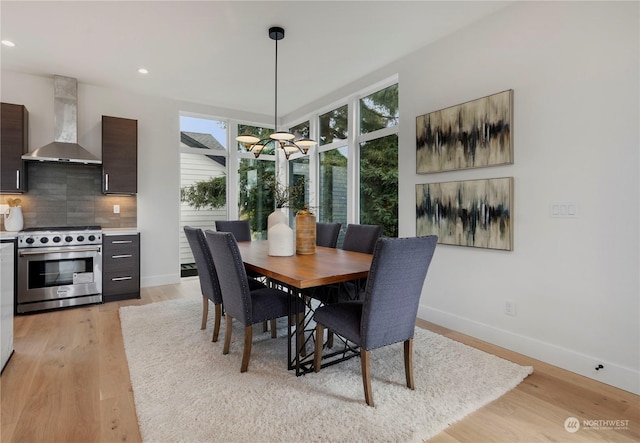 dining room with plenty of natural light and light hardwood / wood-style floors