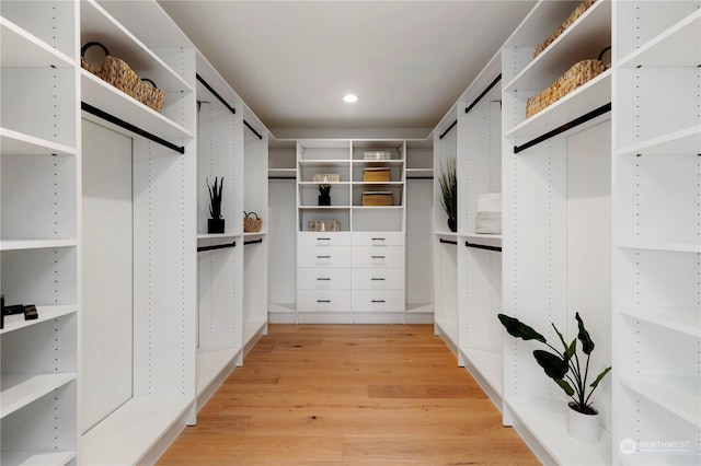 walk in closet featuring light hardwood / wood-style flooring