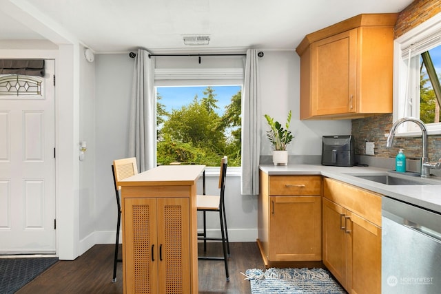 kitchen featuring stainless steel dishwasher, dark hardwood / wood-style floors, sink, and backsplash