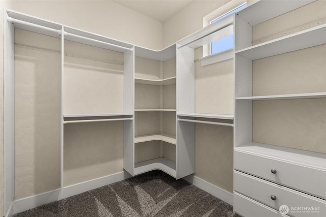 spacious closet with dark colored carpet