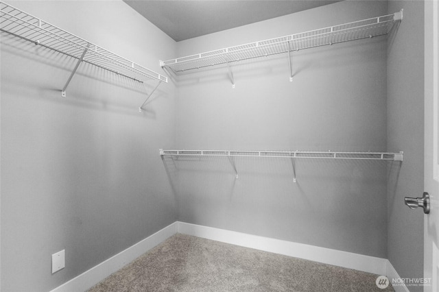 spacious closet with carpet flooring