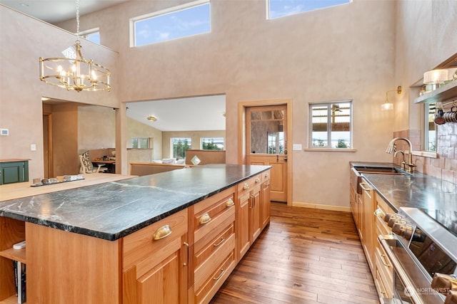 kitchen featuring stainless steel range, wood-type flooring, a center island, and a healthy amount of sunlight