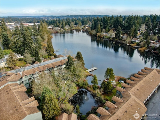 bird's eye view with a water view