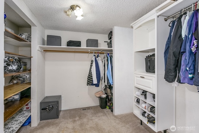 spacious closet featuring light carpet