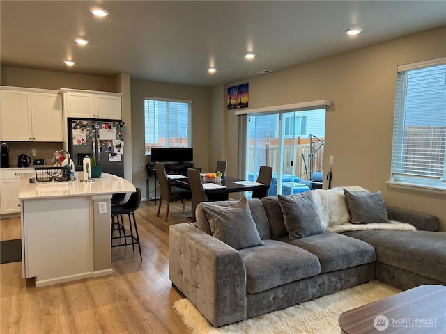 living room featuring light hardwood / wood-style floors