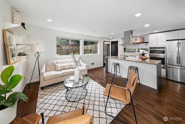 living room featuring dark wood-type flooring