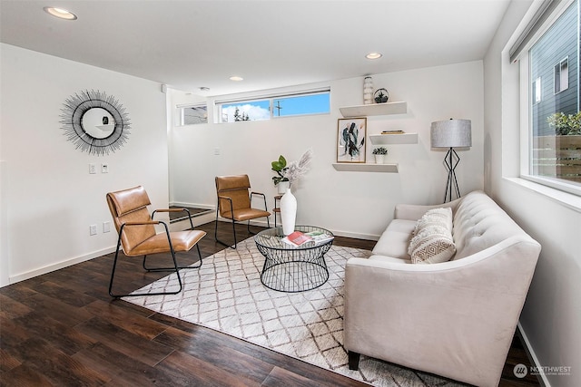 living room featuring dark wood-type flooring