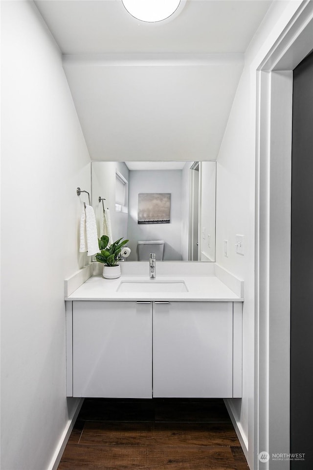 bathroom with vanity and hardwood / wood-style floors