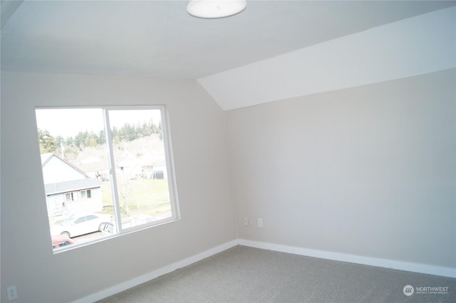 additional living space with carpet and lofted ceiling