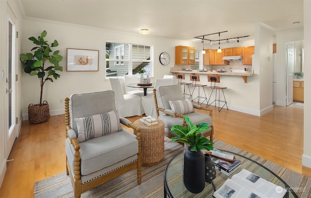 living room featuring crown molding, rail lighting, and light hardwood / wood-style flooring