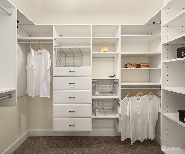 walk in closet with carpet flooring