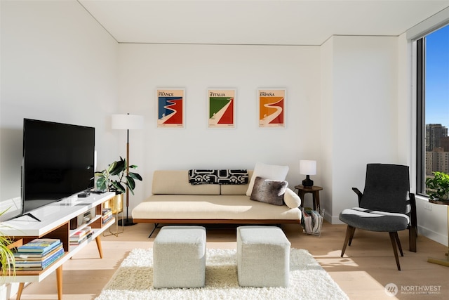 living room with light hardwood / wood-style floors