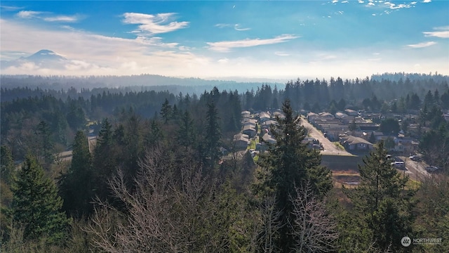 131XX SE 312th St, Auburn WA, 98092 land for sale