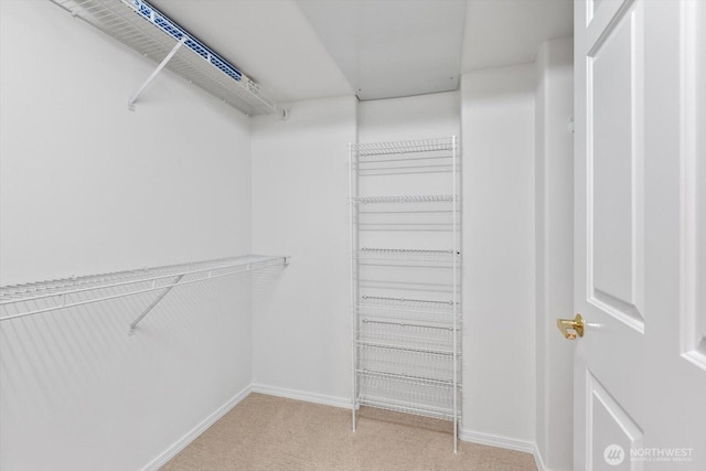 spacious closet featuring light carpet